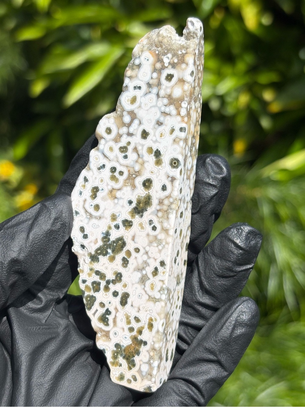 Discounted* Ocean Jasper Crystal Freeform - Polished Orbicular Jasper